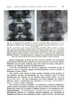 giornale/PUV0115511/1934/unico/00000441