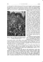 giornale/PUV0115511/1934/unico/00000514