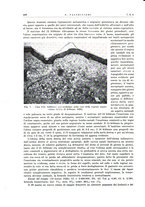 giornale/PUV0115511/1934/unico/00000516