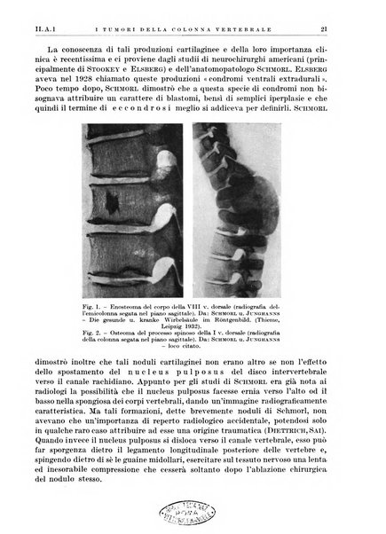 Radiologia e fisica medica. Sezione 1, Archivio di radioterapia e biofisica