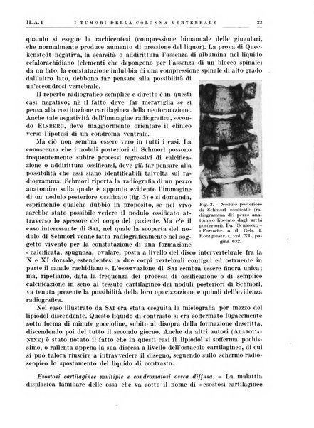 Radiologia e fisica medica. Sezione 1, Archivio di radioterapia e biofisica