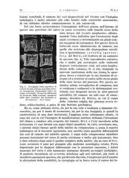 Radiologia e fisica medica. Sezione 1, Archivio di radioterapia e biofisica