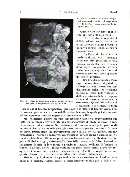 Radiologia e fisica medica. Sezione 1, Archivio di radioterapia e biofisica