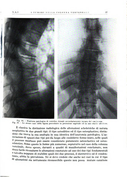 Radiologia e fisica medica. Sezione 1, Archivio di radioterapia e biofisica