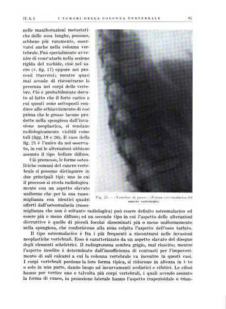 Radiologia e fisica medica. Sezione 1, Archivio di radioterapia e biofisica