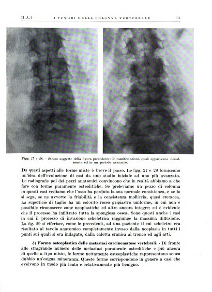 Radiologia e fisica medica. Sezione 1, Archivio di radioterapia e biofisica