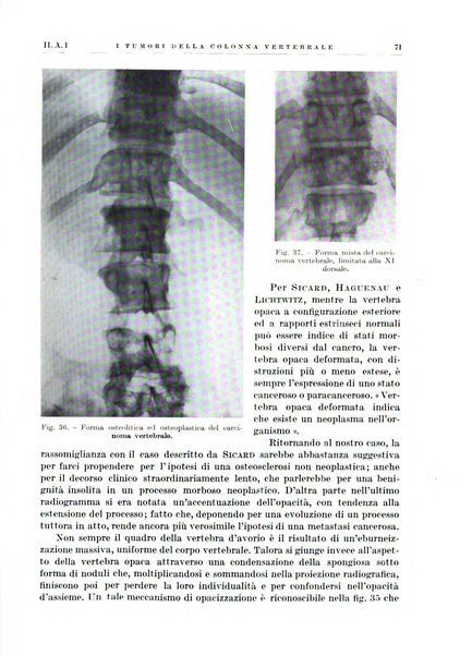 Radiologia e fisica medica. Sezione 1, Archivio di radioterapia e biofisica