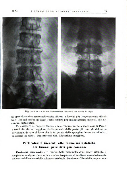 Radiologia e fisica medica. Sezione 1, Archivio di radioterapia e biofisica