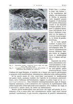 giornale/PUV0115511/1935/unico/00000130