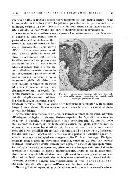 Radiologia e fisica medica. Sezione 1, Archivio di radioterapia e biofisica