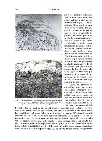 Radiologia e fisica medica. Sezione 1, Archivio di radioterapia e biofisica