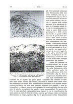 giornale/PUV0115511/1935/unico/00000134