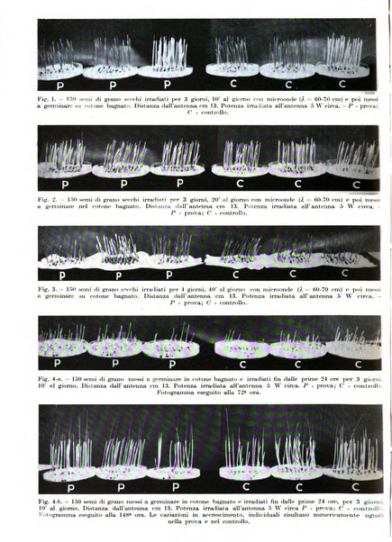 Radiologia e fisica medica. Sezione 1, Archivio di radioterapia e biofisica