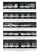 giornale/PUV0115511/1935/unico/00000164