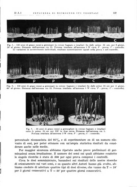 Radiologia e fisica medica. Sezione 1, Archivio di radioterapia e biofisica