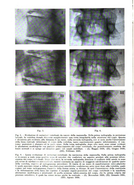 Radiologia e fisica medica. Sezione 1, Archivio di radioterapia e biofisica