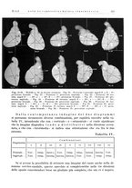 giornale/PUV0115511/1935/unico/00000245