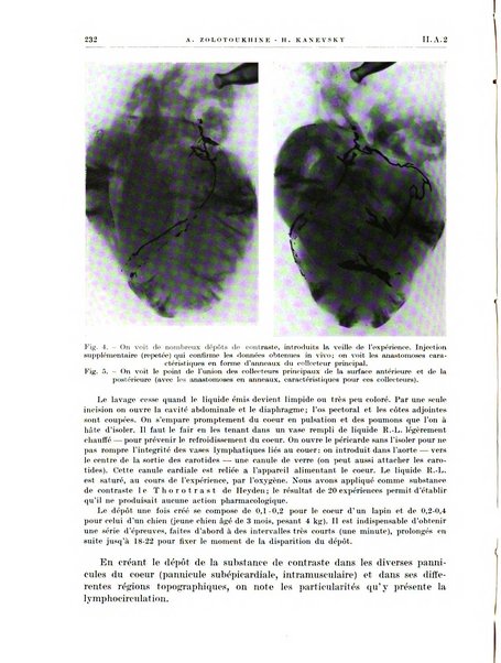 Radiologia e fisica medica. Sezione 1, Archivio di radioterapia e biofisica