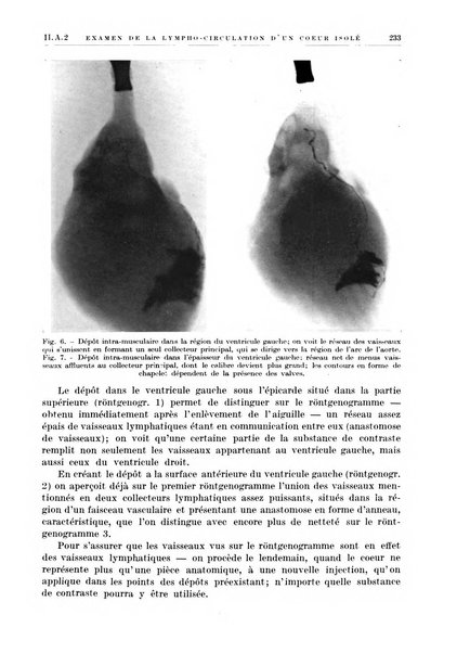 Radiologia e fisica medica. Sezione 1, Archivio di radioterapia e biofisica