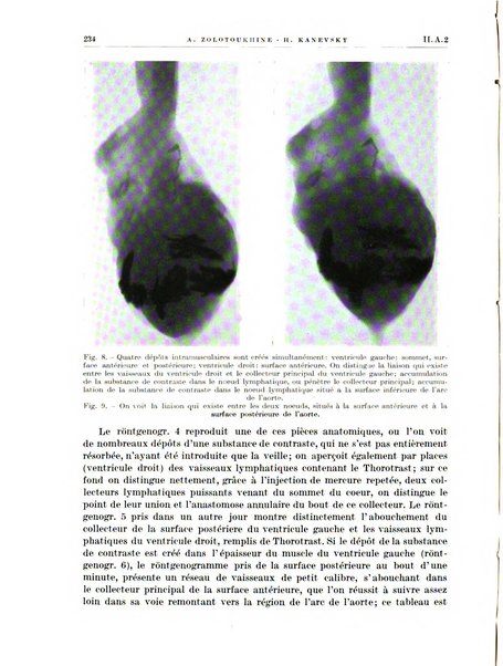 Radiologia e fisica medica. Sezione 1, Archivio di radioterapia e biofisica