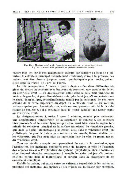 Radiologia e fisica medica. Sezione 1, Archivio di radioterapia e biofisica