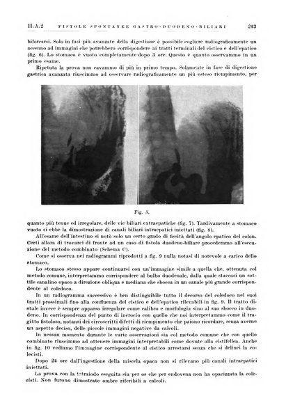 Radiologia e fisica medica. Sezione 1, Archivio di radioterapia e biofisica