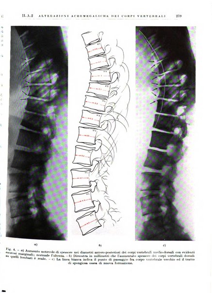 Radiologia e fisica medica. Sezione 1, Archivio di radioterapia e biofisica