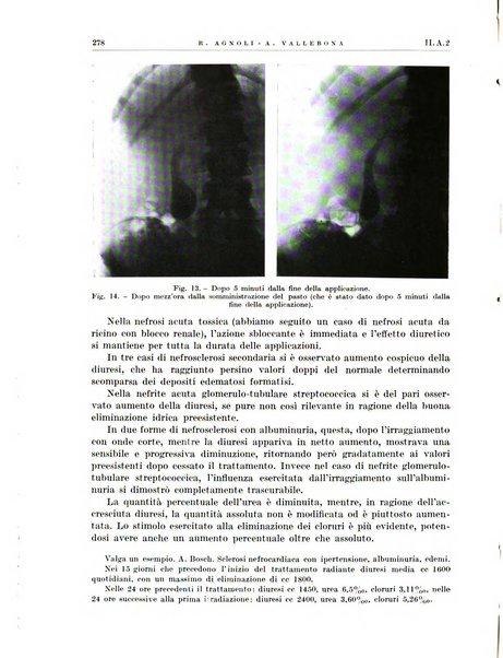 Radiologia e fisica medica. Sezione 1, Archivio di radioterapia e biofisica