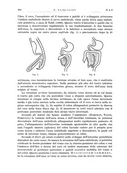 Radiologia e fisica medica. Sezione 1, Archivio di radioterapia e biofisica