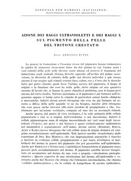 Radiologia e fisica medica. Sezione 1, Archivio di radioterapia e biofisica