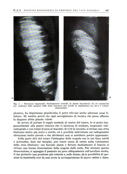 Radiologia e fisica medica. Sezione 1, Archivio di radioterapia e biofisica