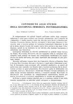 giornale/PUV0115511/1935/unico/00000512