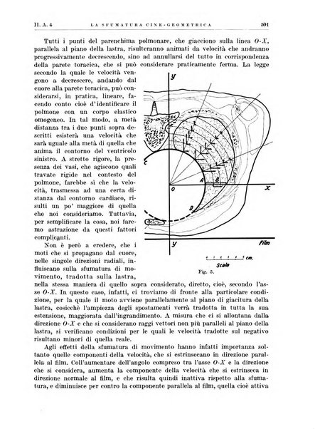 Radiologia e fisica medica. Sezione 1, Archivio di radioterapia e biofisica