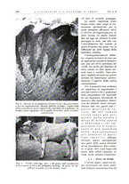 giornale/PUV0115511/1936/unico/00000246