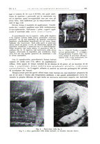 giornale/PUV0115511/1936/unico/00000247