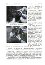 giornale/PUV0115511/1936/unico/00000250