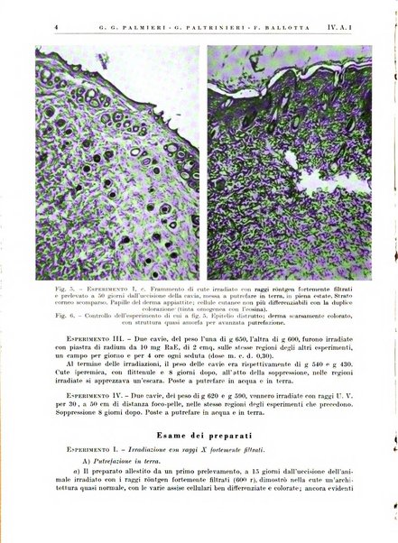 Radiologia e fisica medica. Sezione 1, Archivio di radioterapia e biofisica