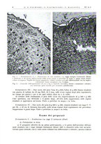 giornale/PUV0115511/1937/unico/00000014