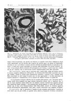 giornale/PUV0115511/1937/unico/00000015
