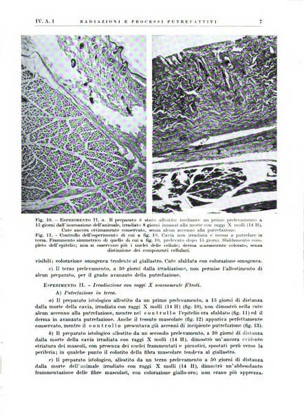 Radiologia e fisica medica. Sezione 1, Archivio di radioterapia e biofisica