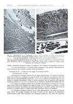 giornale/PUV0115511/1937/unico/00000017
