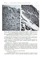 giornale/PUV0115511/1937/unico/00000019