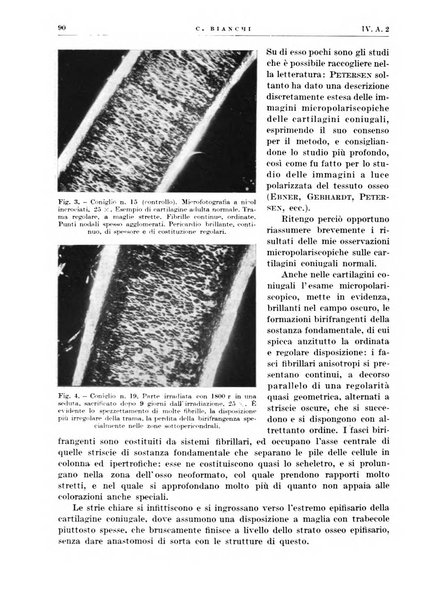 Radiologia e fisica medica. Sezione 1, Archivio di radioterapia e biofisica