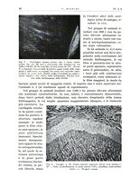 giornale/PUV0115511/1937/unico/00000106