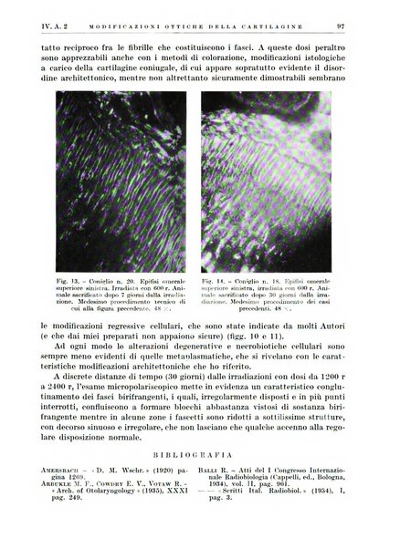 Radiologia e fisica medica. Sezione 1, Archivio di radioterapia e biofisica