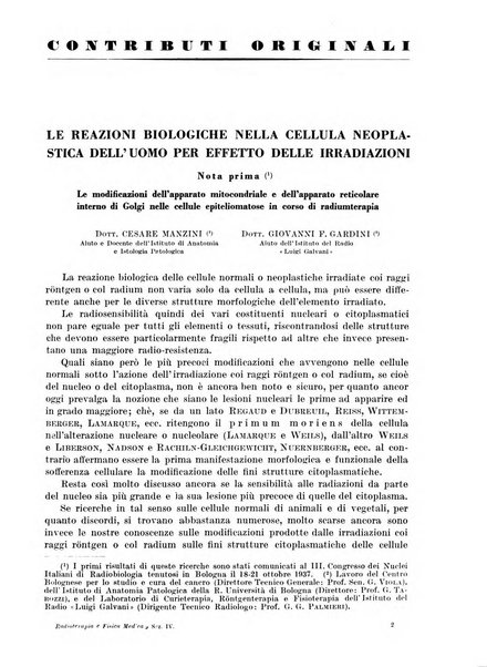 Radioterapia e fisica medica