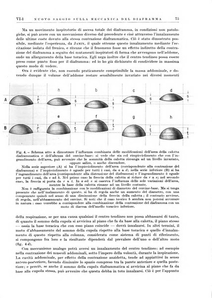 Radioterapia e fisica medica