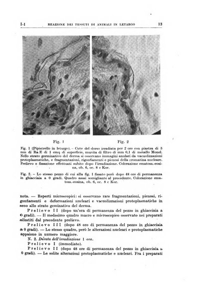 Radioterapia, radiobiologia e fisica medica