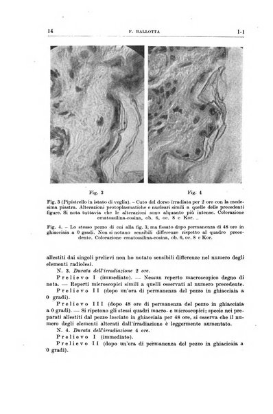 Radioterapia, radiobiologia e fisica medica