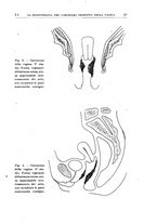 giornale/PUV0115514/1946-1947/unico/00000033